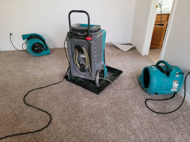 Best Sewage cleanup and water damage restoration  in Manawa, WI