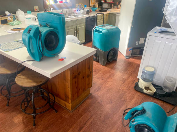 Best Water damage contractors near me  in Manawa, WI