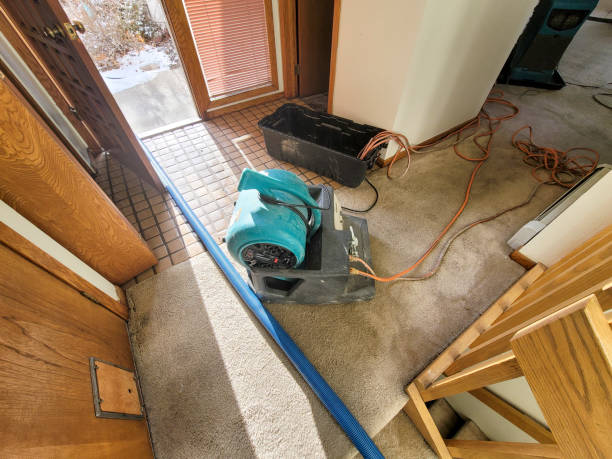 Best Basement water damage restoration  in Manawa, WI