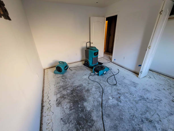 Best Water damage restoration cost  in Manawa, WI