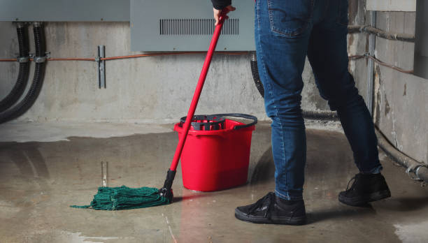 Best Water damage contractors near me  in Manawa, WI