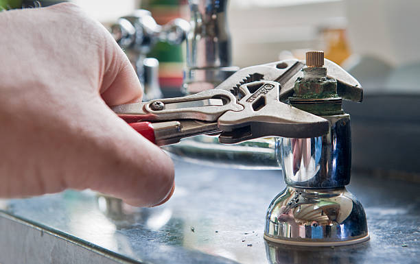 Best Professional water damage repair  in Manawa, WI