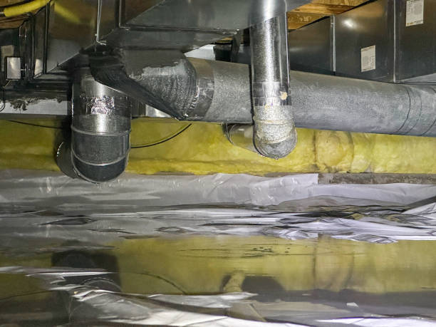 Best Local water damage restoration  in Manawa, WI