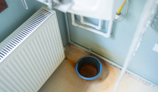Best 24/7 water damage repair  in Manawa, WI