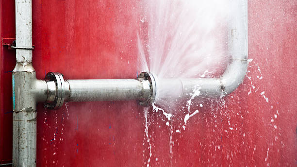 Best Fire Damage Restoration  in Manawa, WI